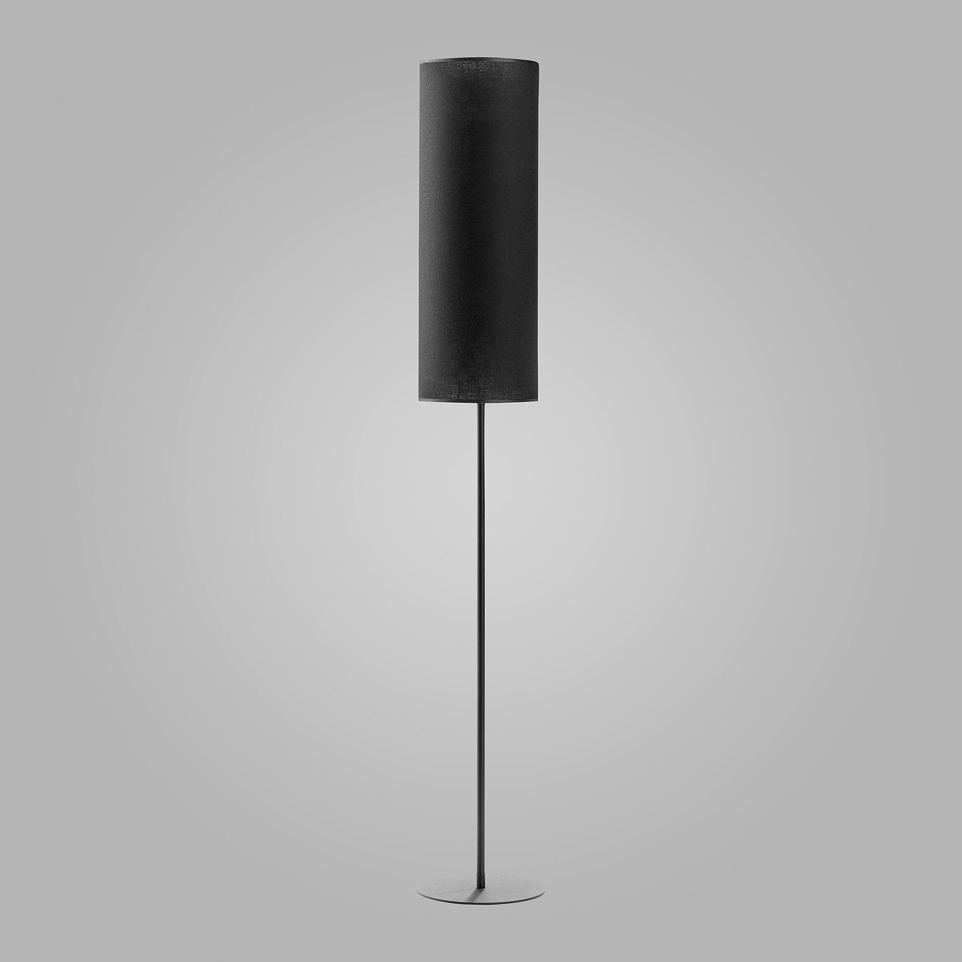 Торшер Eurosvet Luneta New 5228 Luneta New