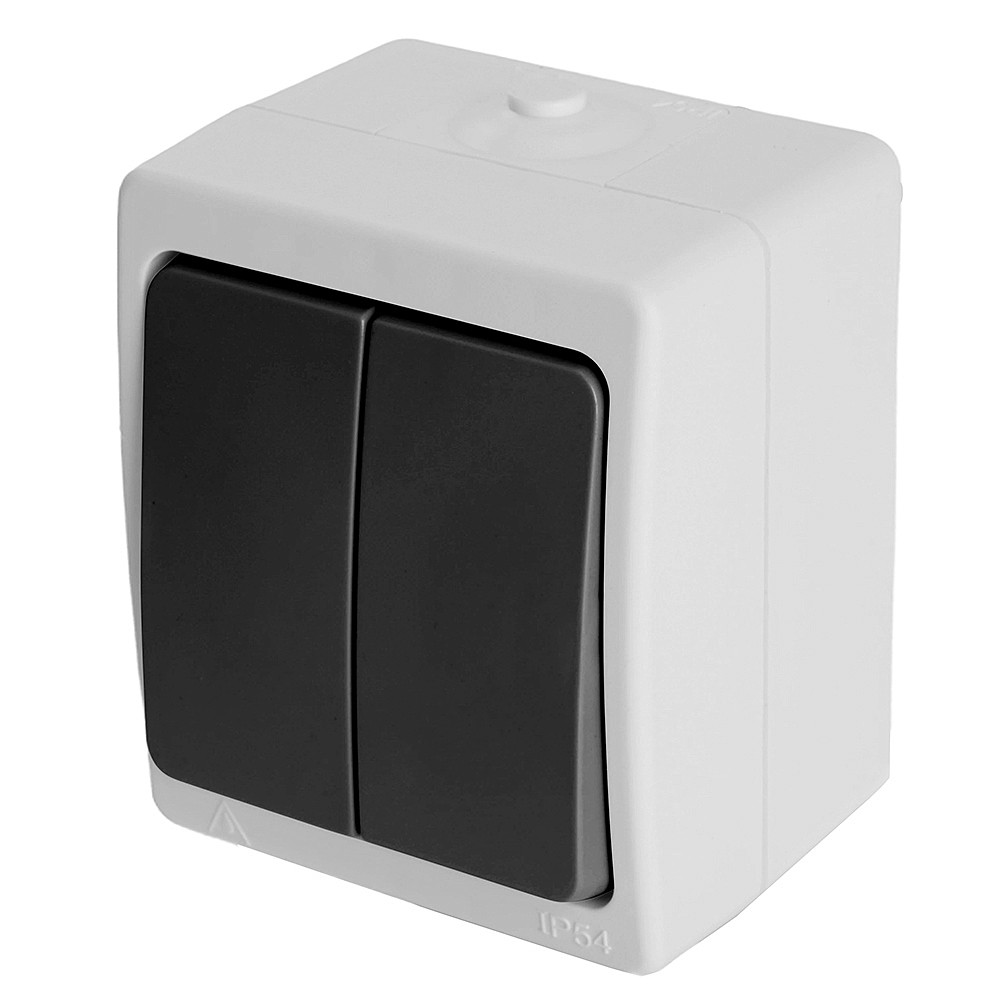 Выключатель двухклавишный Stekker PSW10 32753