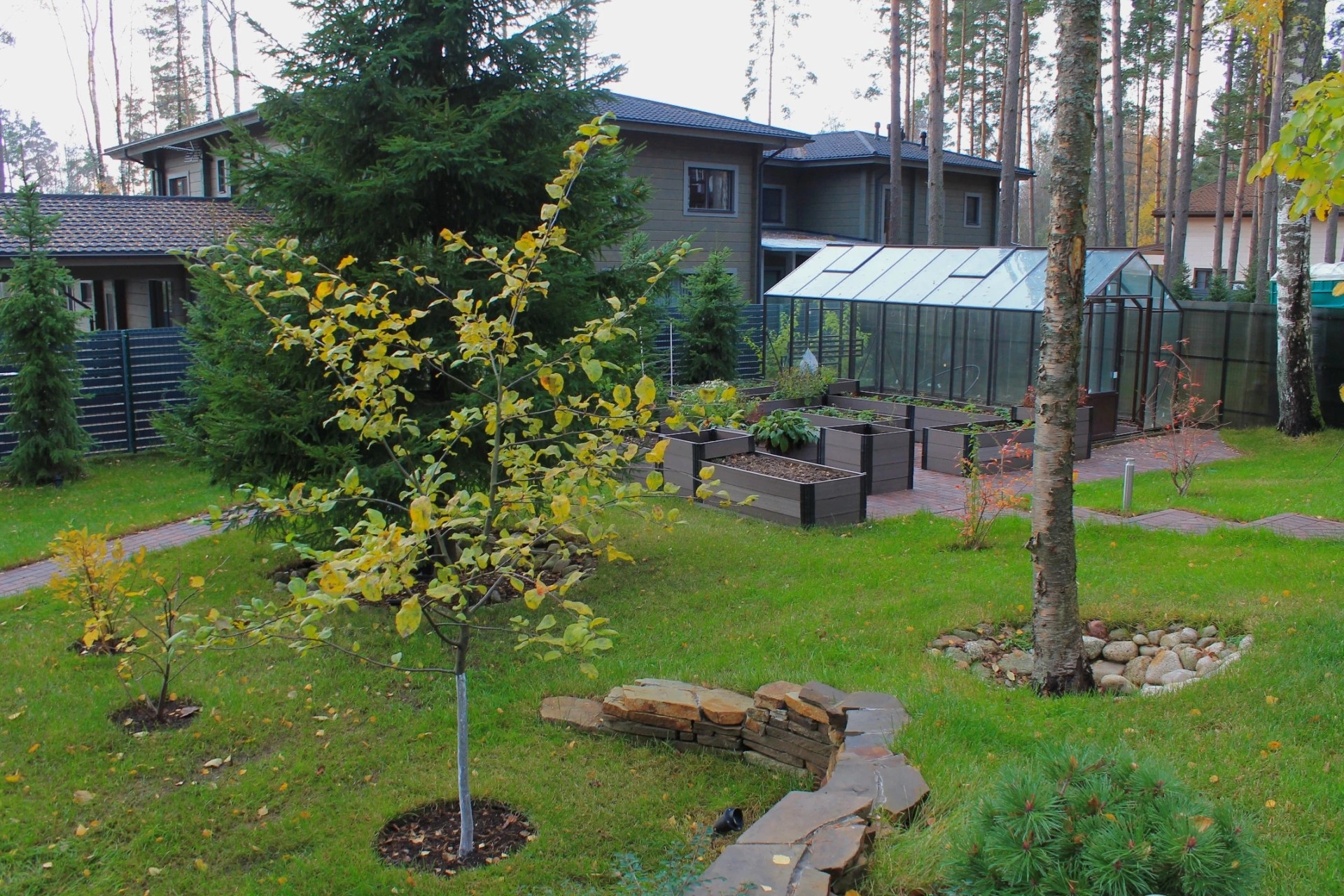 Морские террасы