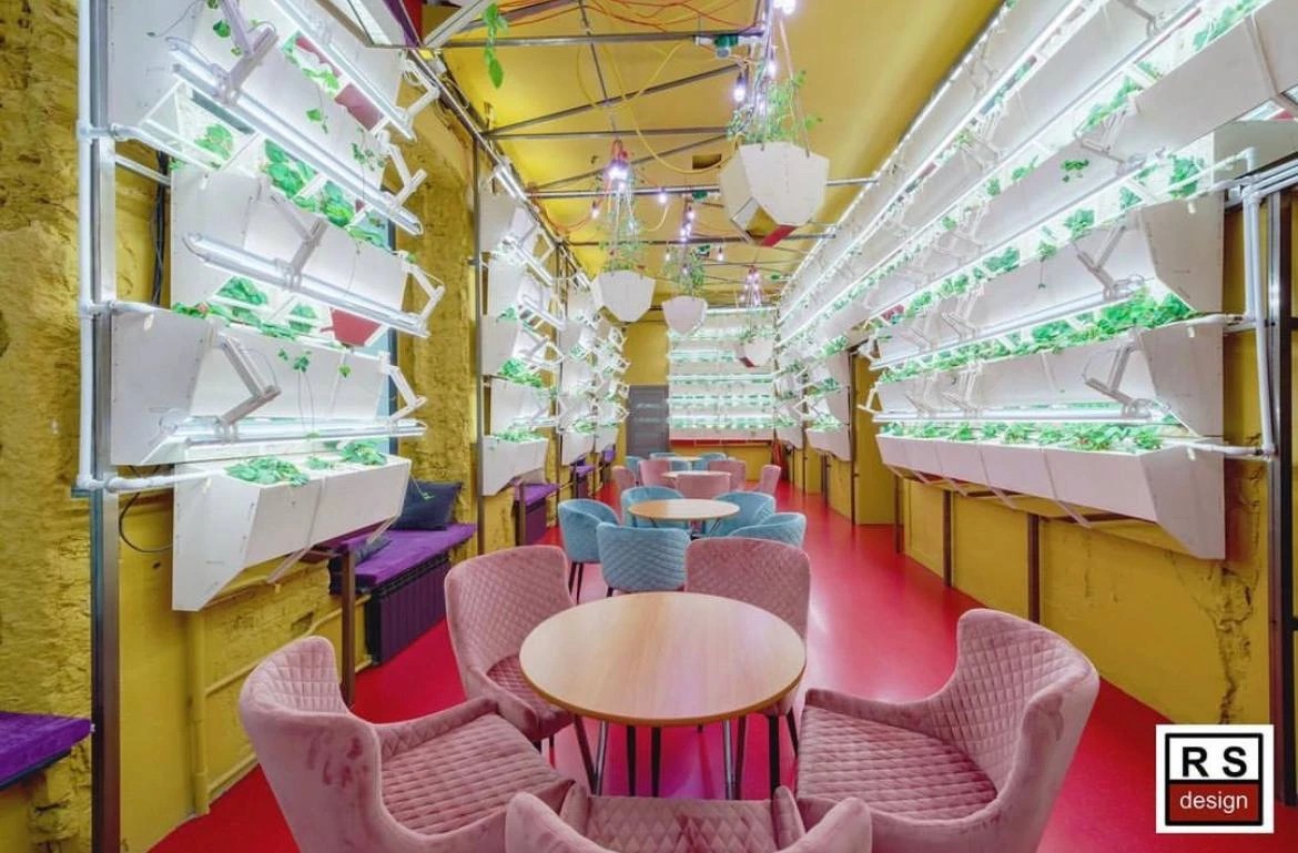 ПРИМЕРЫ РАБОТ