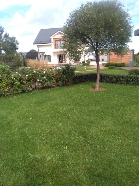 Проект в Санино 20 соток