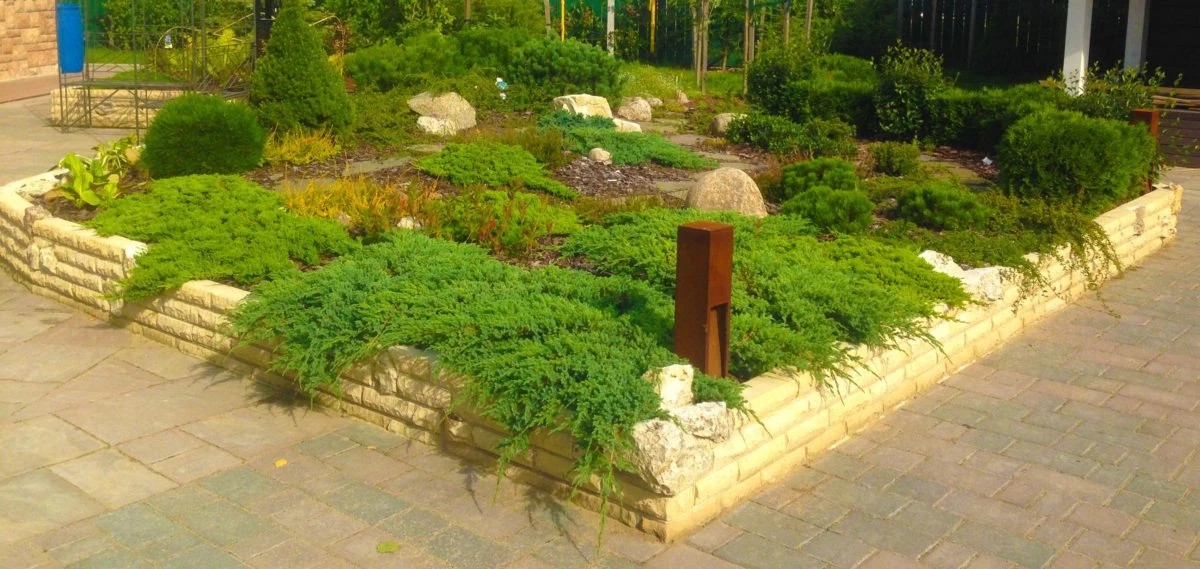 Проект в Зеленогорске 12 соток