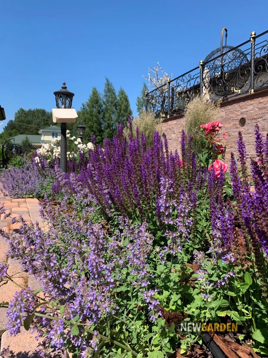 Объект в Коркино 20