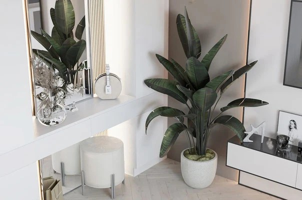 Квартира для девушки, 80 м2