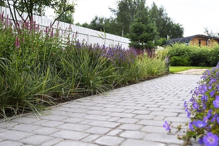 ЛЕТНИЙ БРИЗ