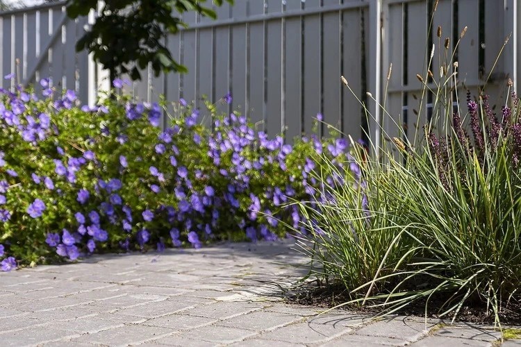 ЛЕТНИЙ БРИЗ