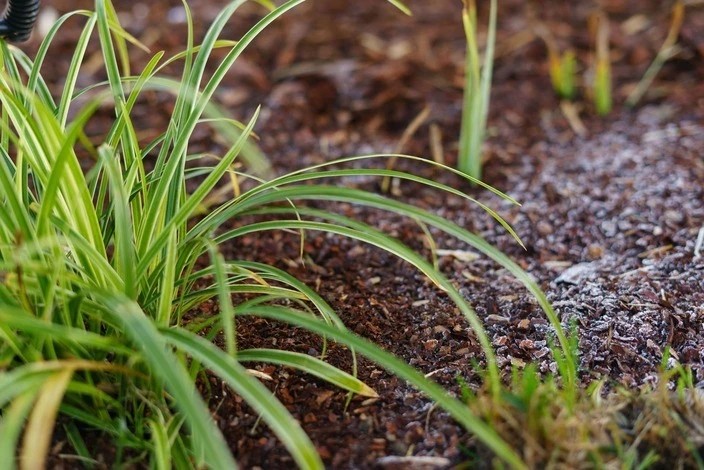 ГОРНАЯ ДЕРЕВНЯ