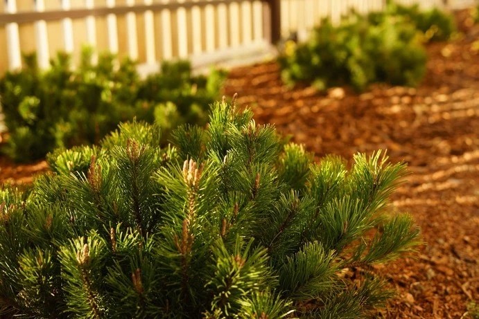 ГОРНАЯ ДЕРЕВНЯ