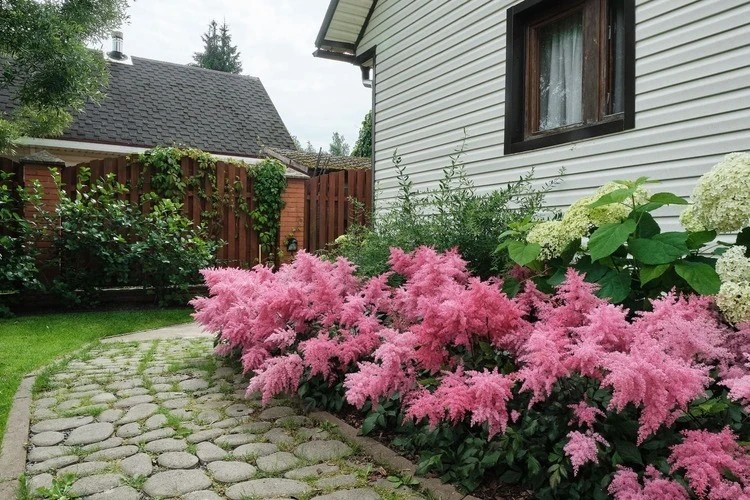 ВЕТЕР ПЕРЕМЕН