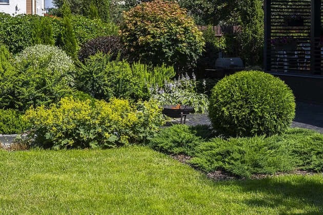 ВАЛЬС ЦВЕТОВ