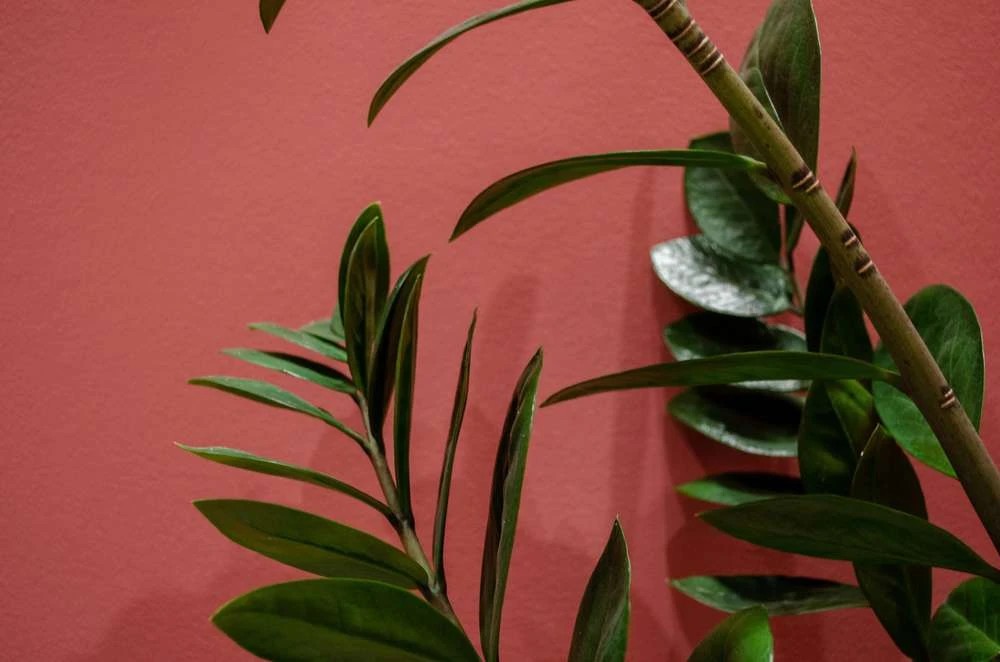 ЖК «Соло», Яркий минимализм