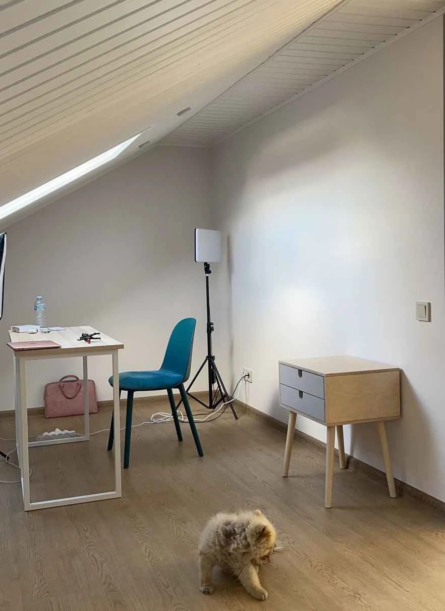 Дуплекс в Московской области для предпринимателя и блогера