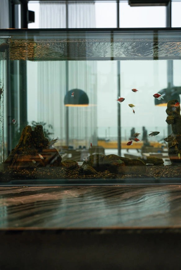 Restaurant "Sea Forest"