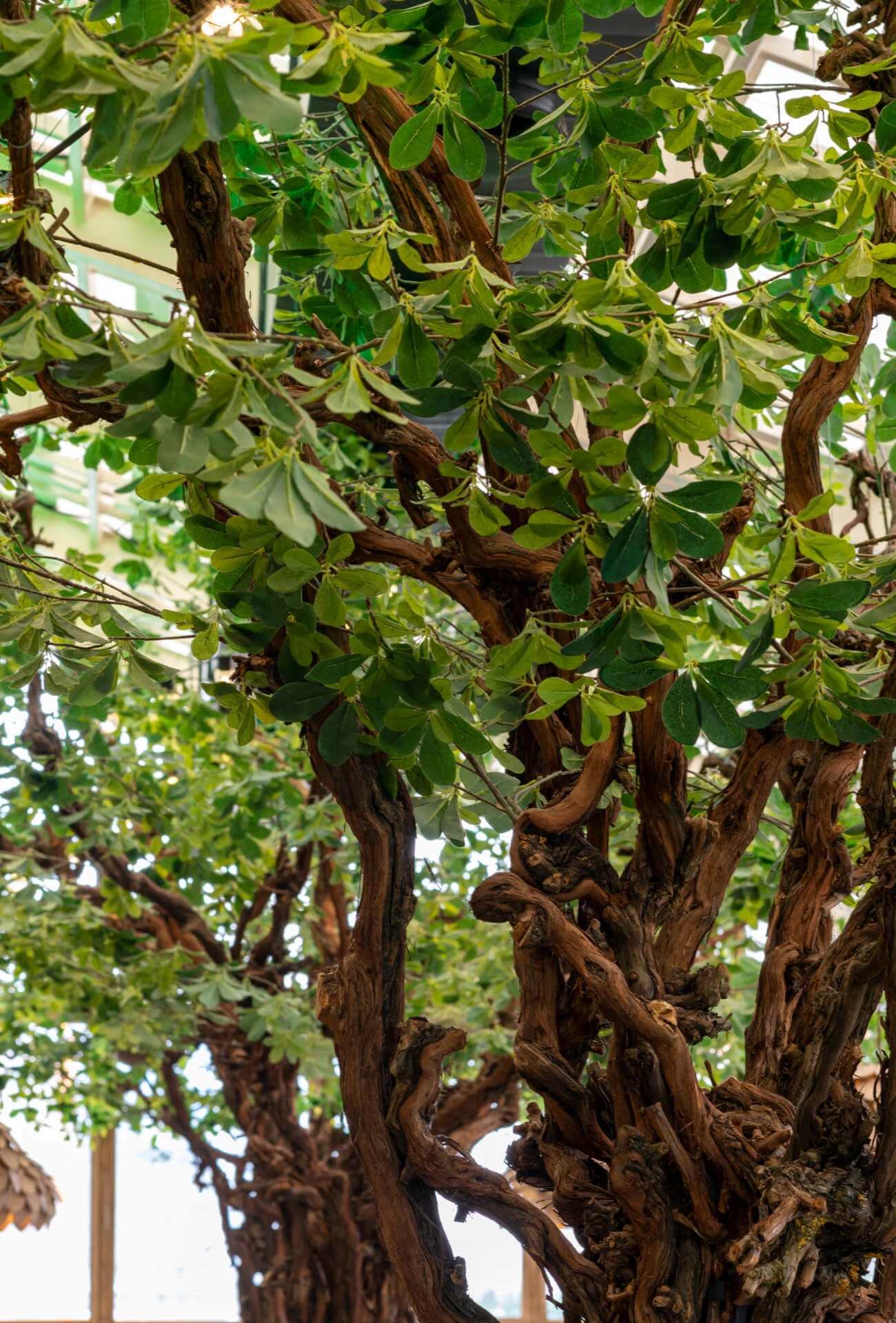 ЛЕТНЯЯ ВЕРАНДА ПЛЮШКИНА