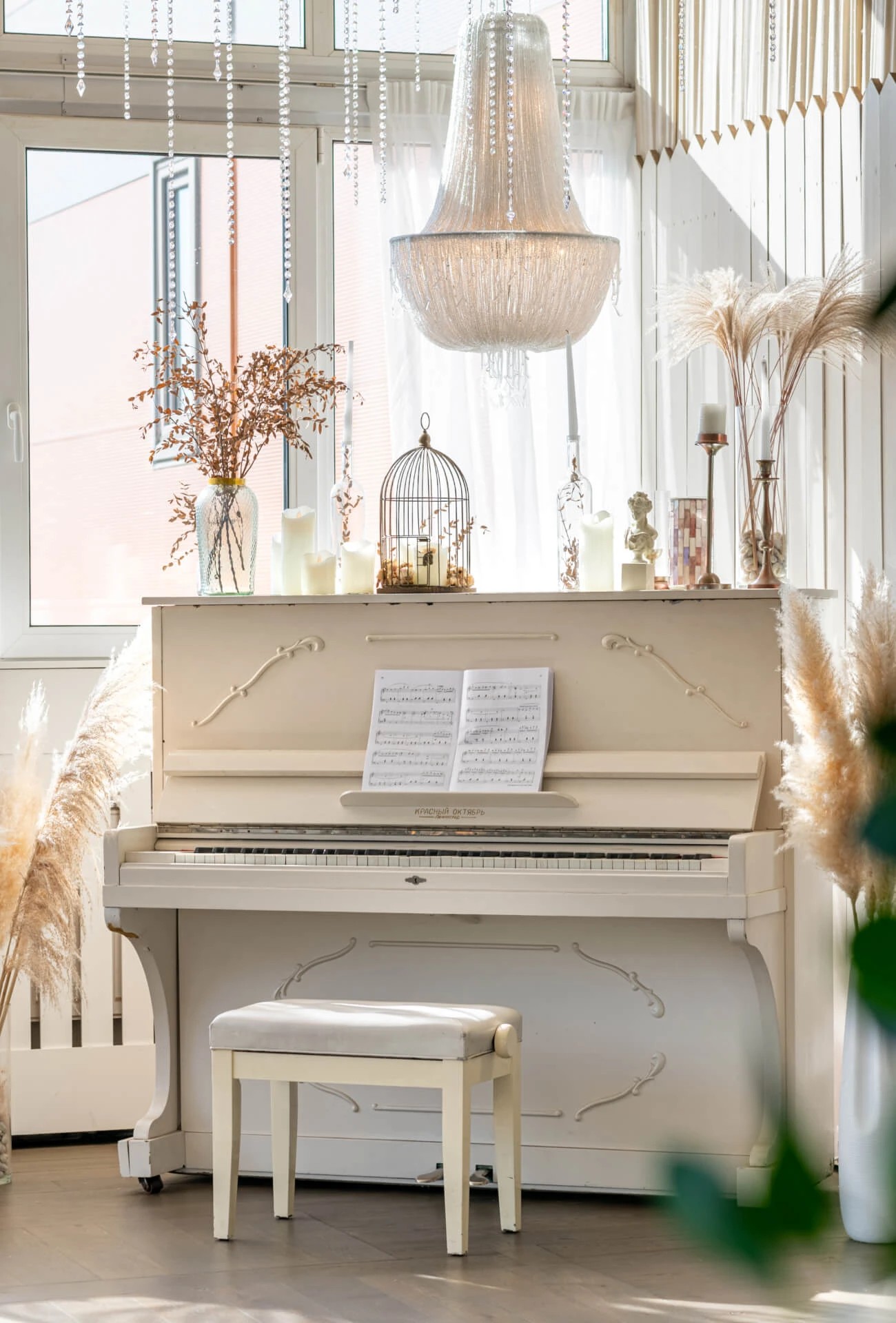 РЕСТОРАН ПЛЮШКИН