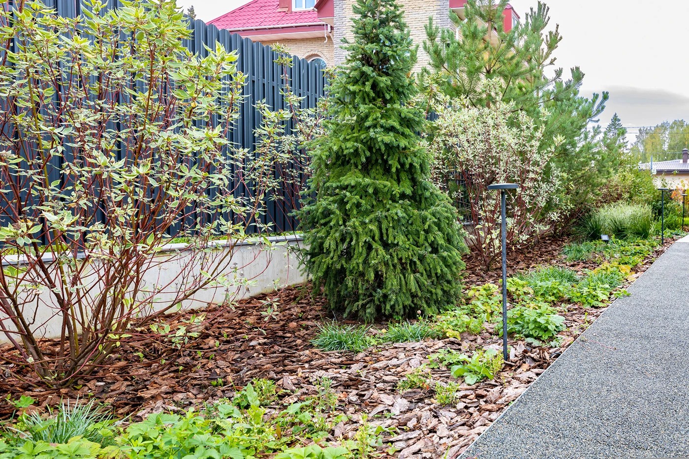 Петергофский сад