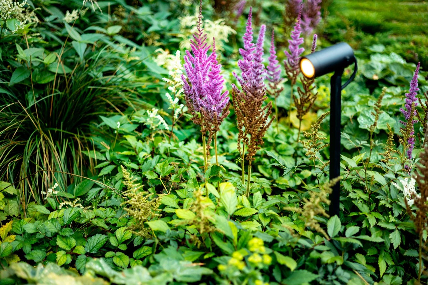 Сад в финском стиле