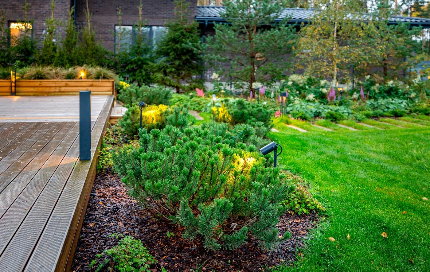 Сад в финском стиле