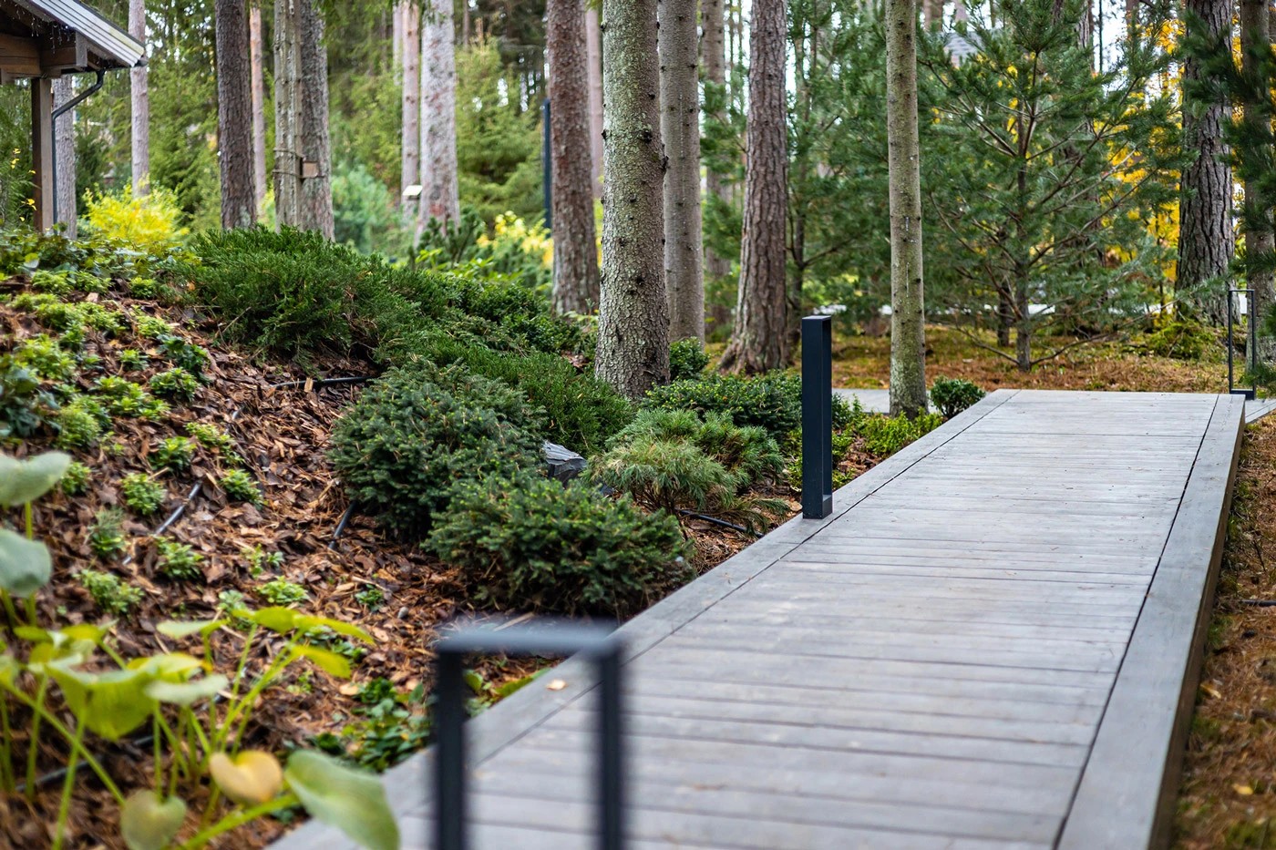 Усадьба в Репино