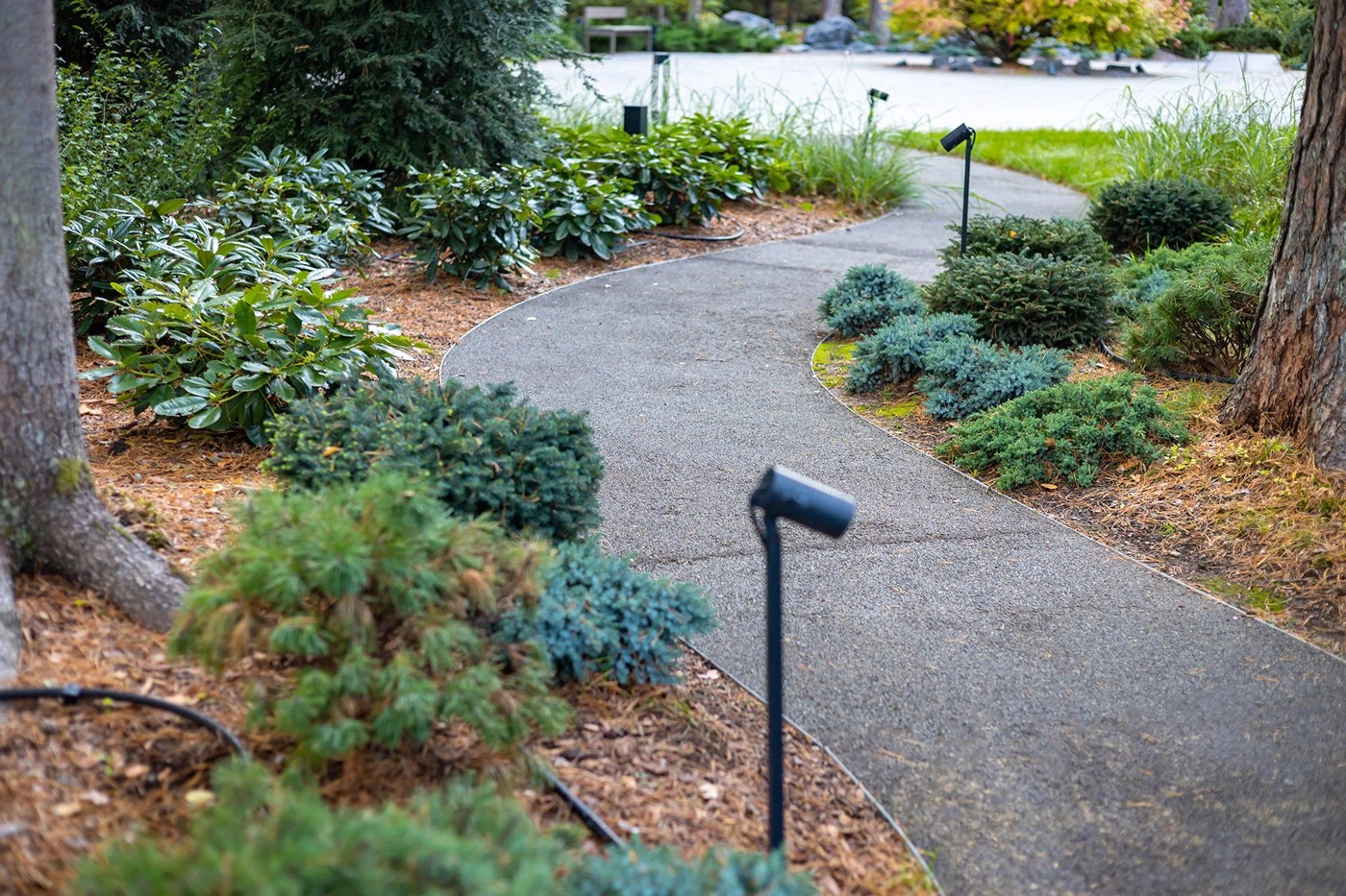 Усадьба в Репино