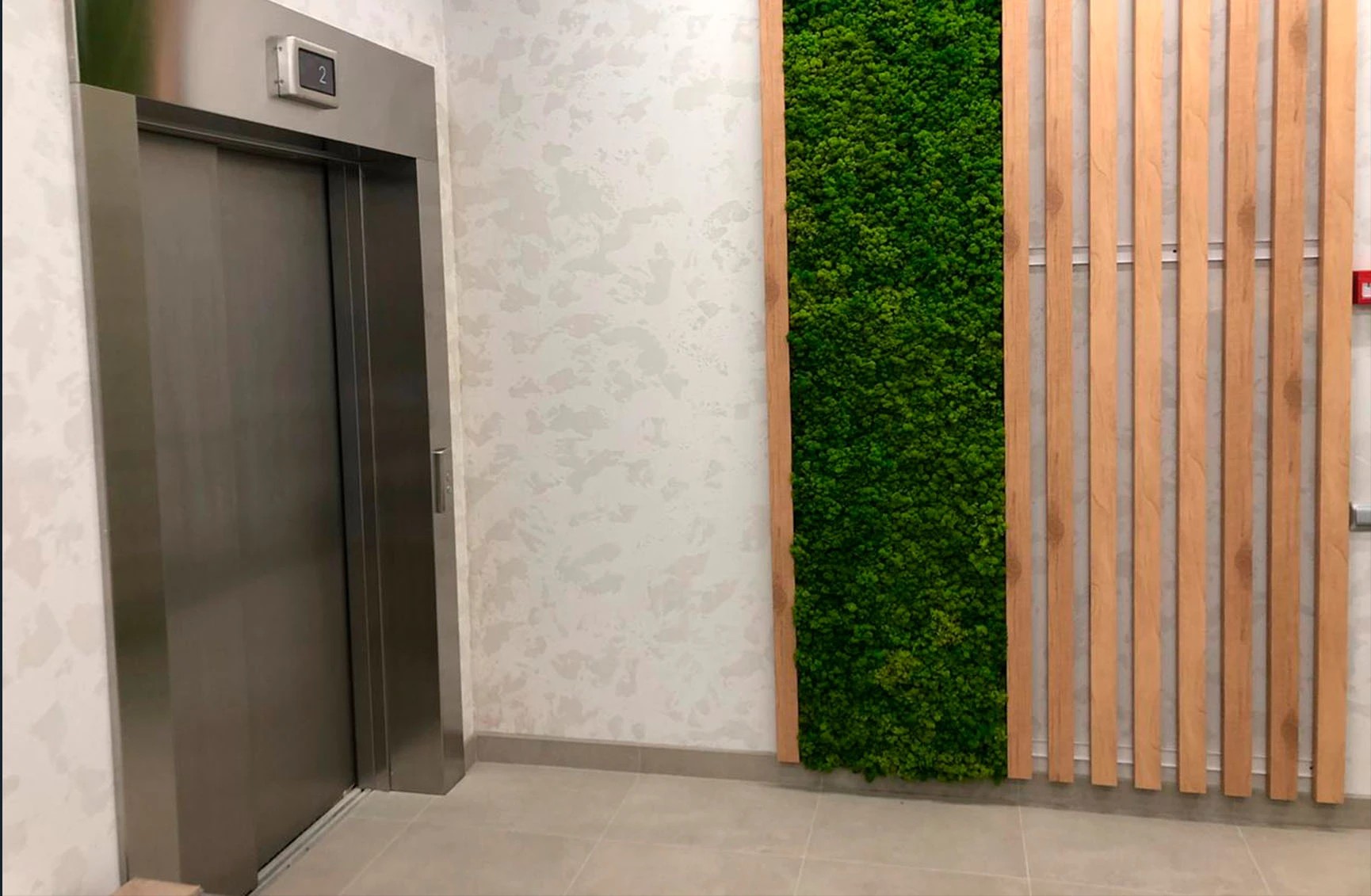 Чистая Линия