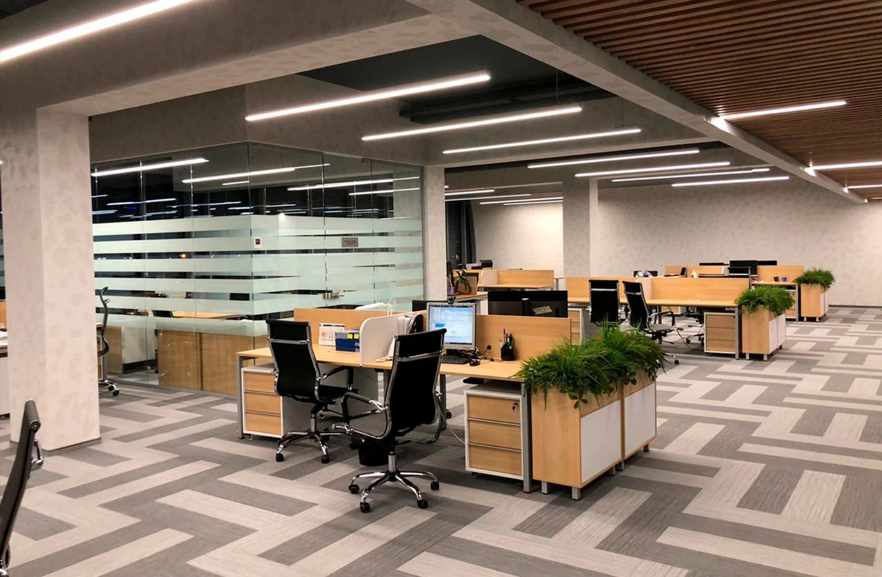 Чистая Линия