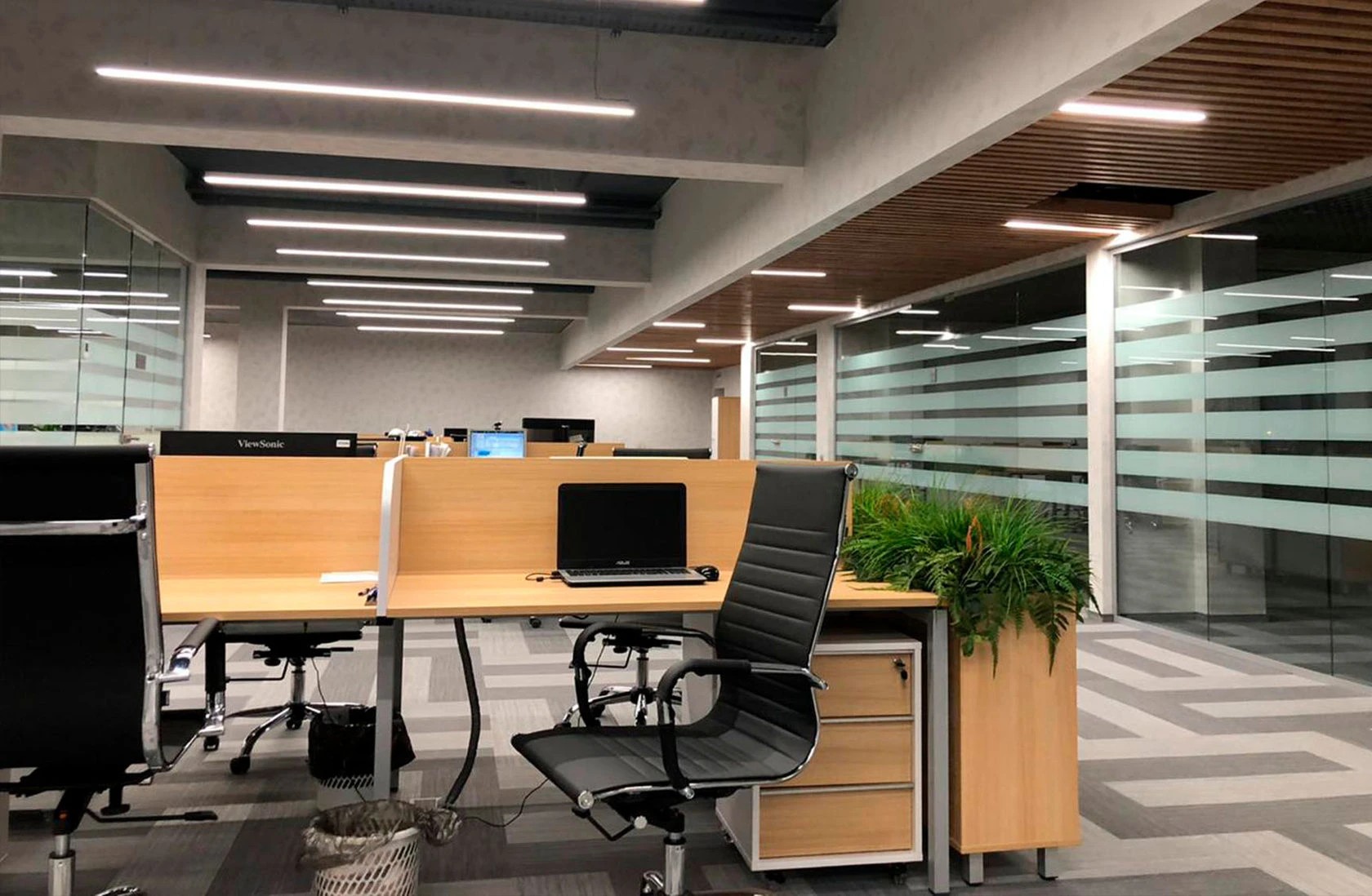 Чистая Линия