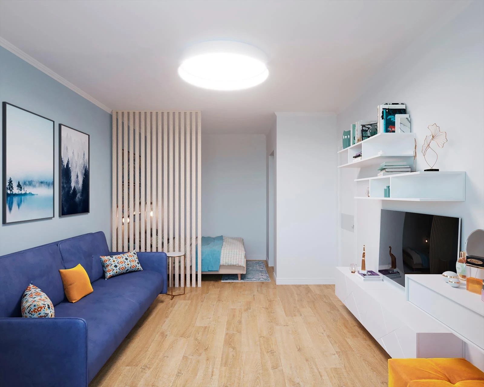 Дизайн-проект однокомнатной квартиры для молодой девушки