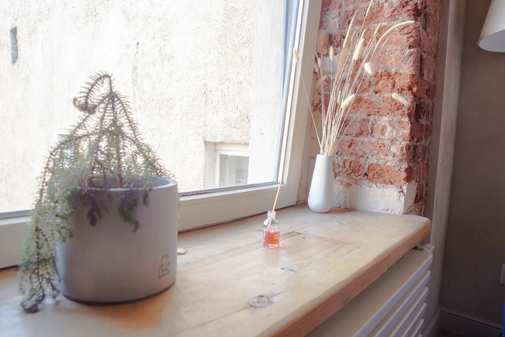 канал Грибоедова