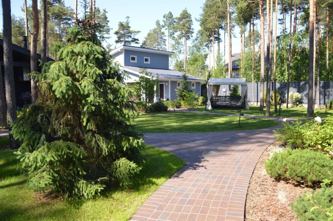 САД В КП ПАМИР