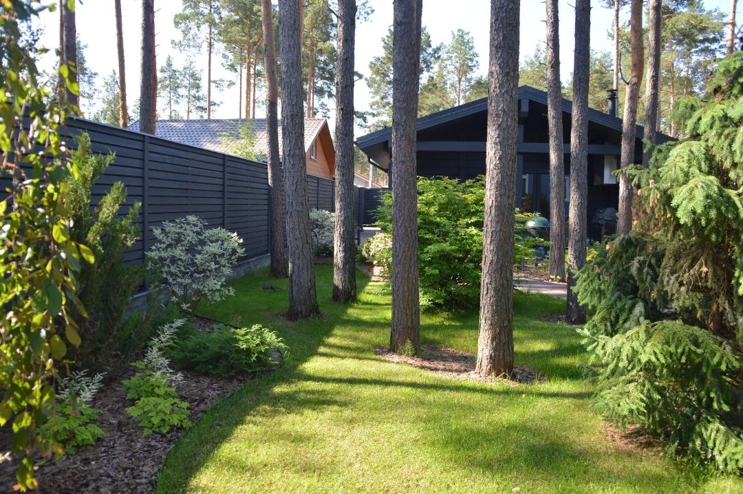 САД В КП ПАМИР