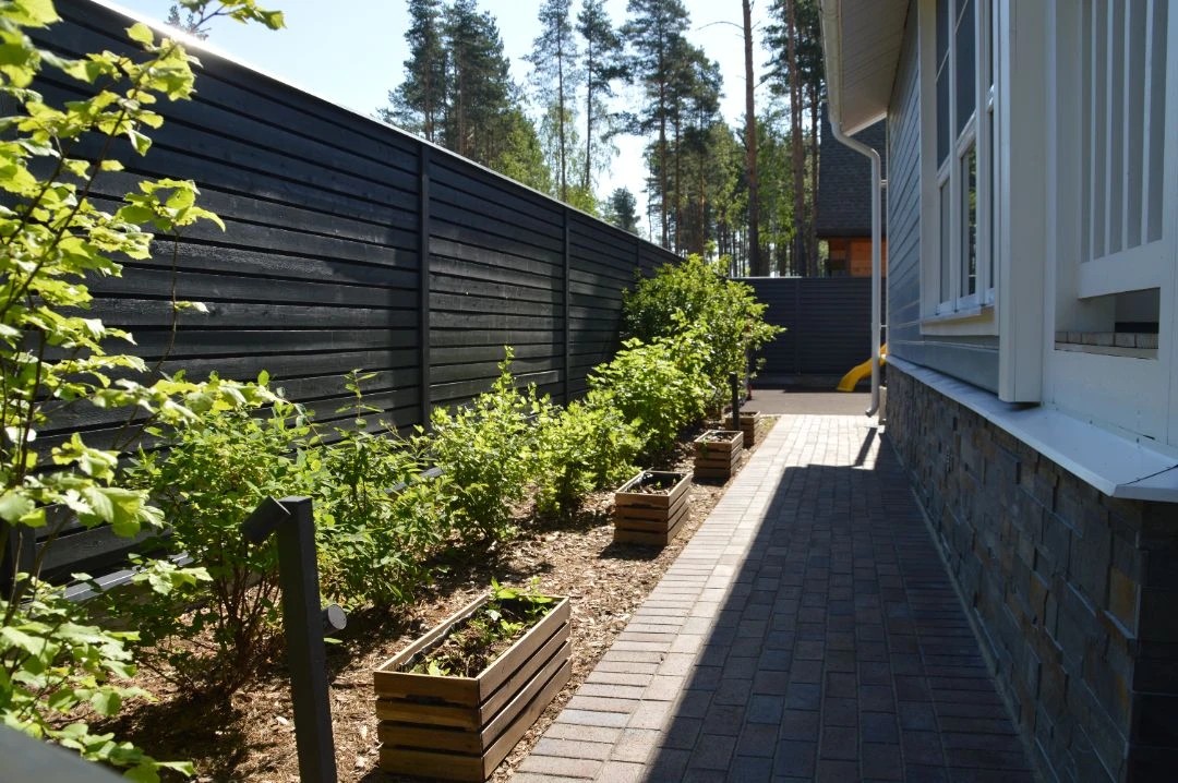 САД В КП ПАМИР