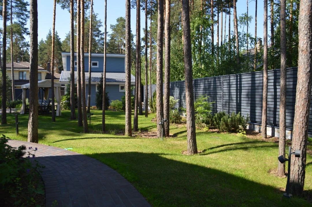 САД В КП ПАМИР