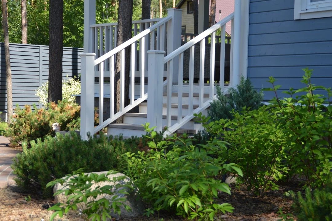 САД В КП ПАМИР