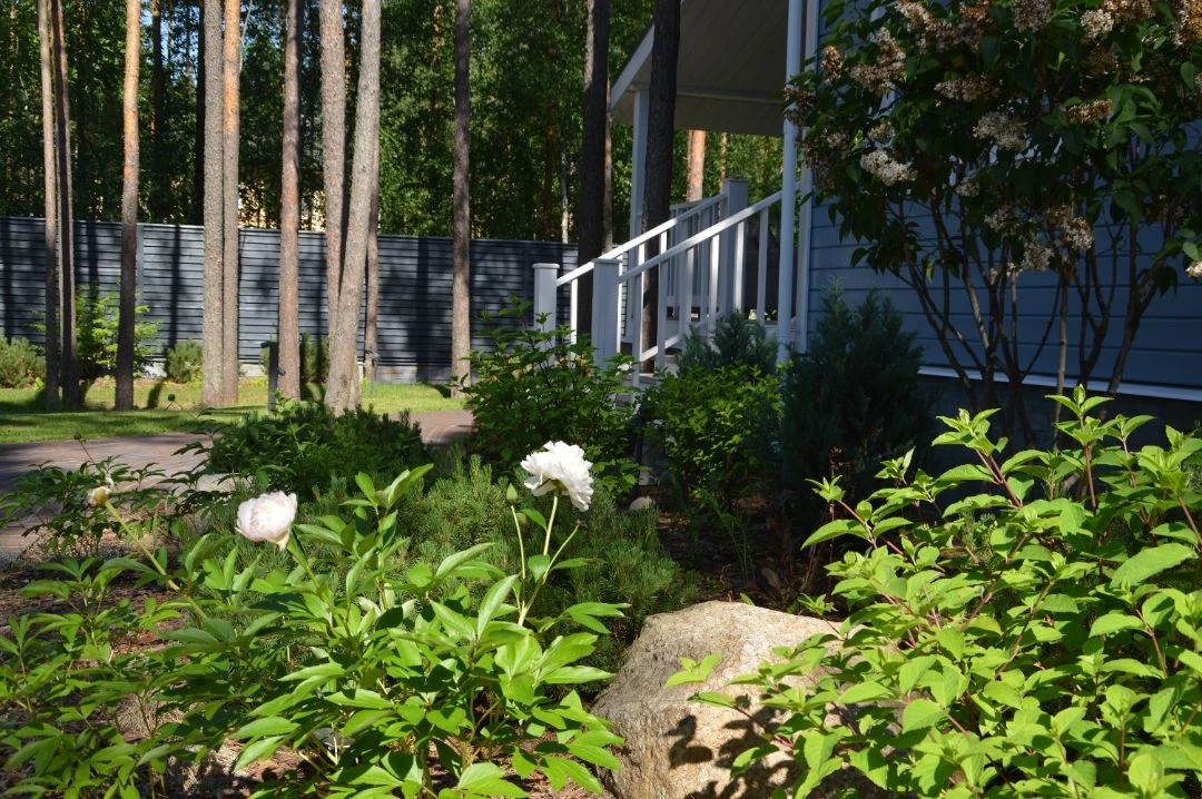 САД В КП ПАМИР