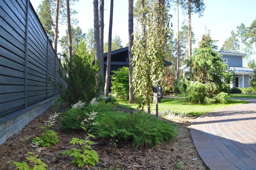 САД В КП ПАМИР