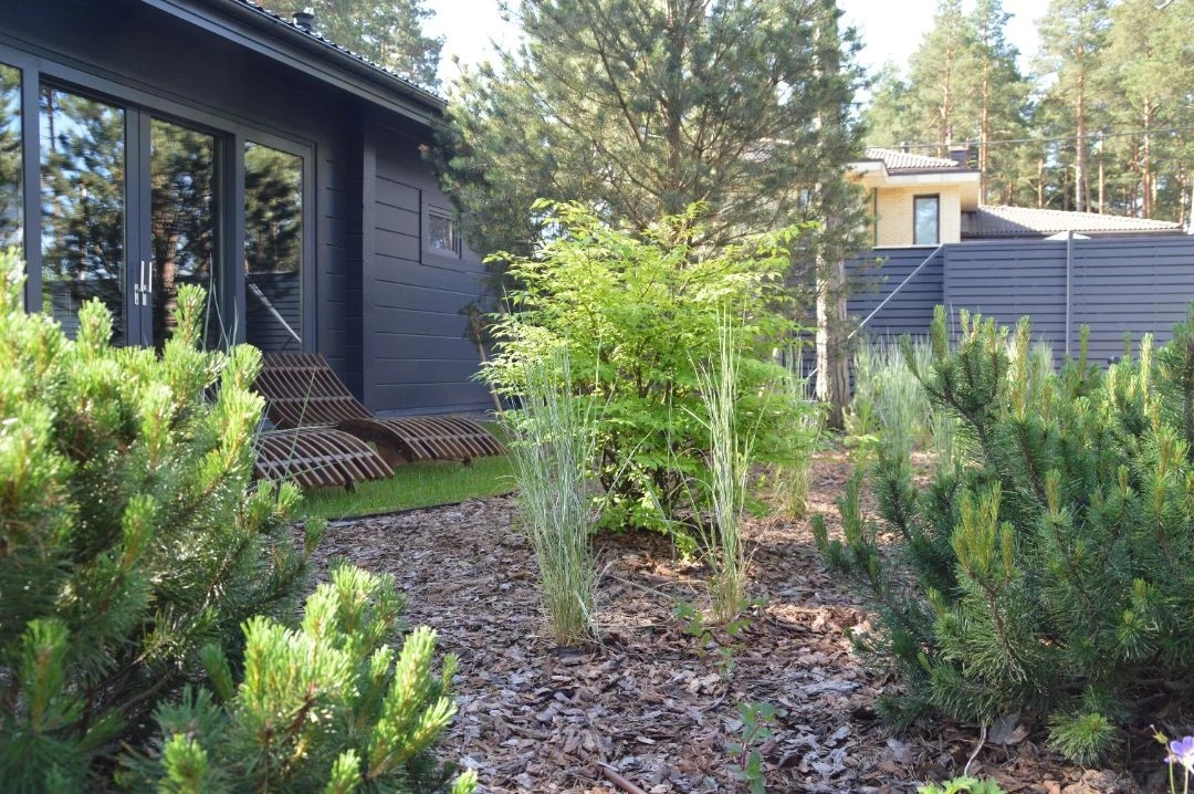 САД В КП ПАМИР