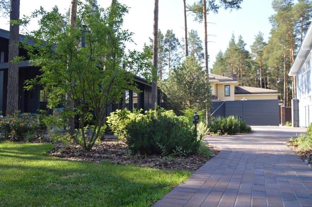 САД В КП ПАМИР