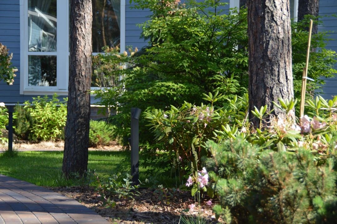 САД В КП ПАМИР