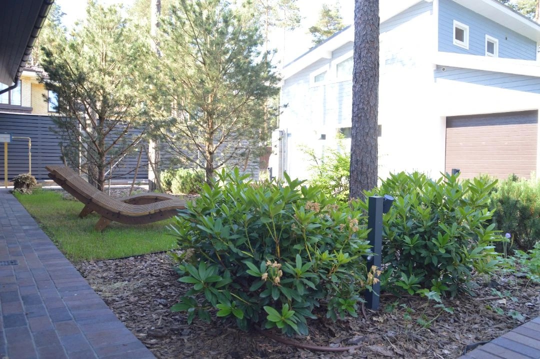 САД В КП ПАМИР