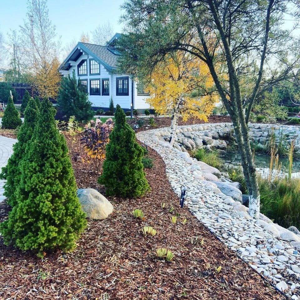 САД В РОЩИНО