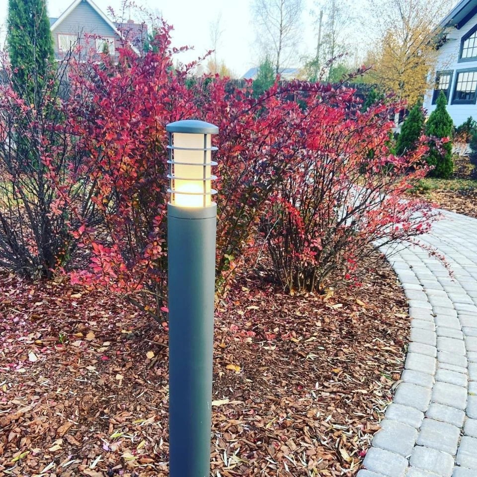 САД В РОЩИНО