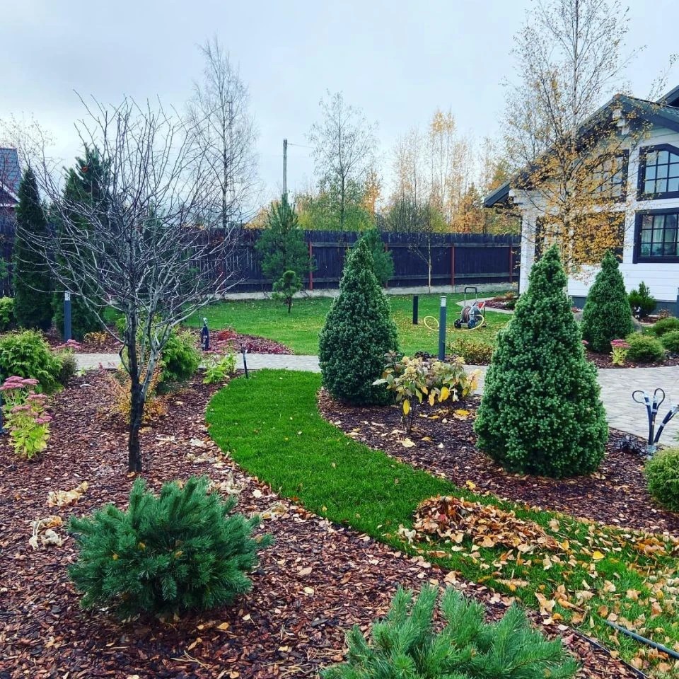 САД В РОЩИНО