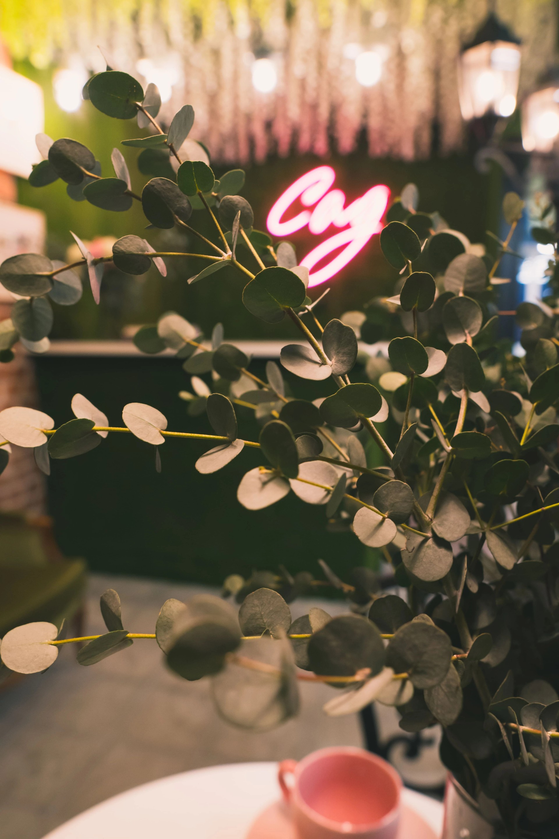 Студия красоты - "Сад"