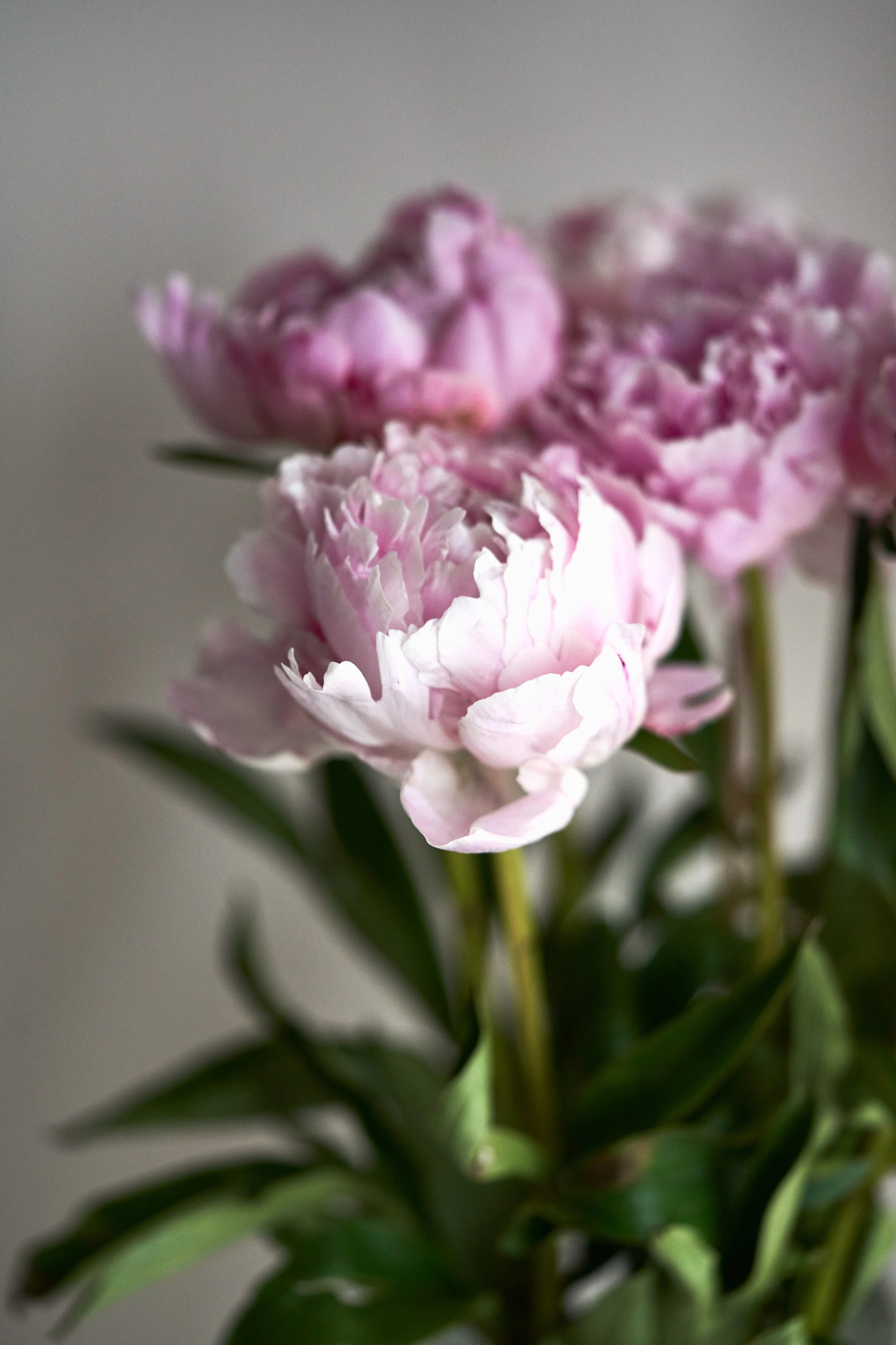 Квартира в ЖК «Риверсайд»