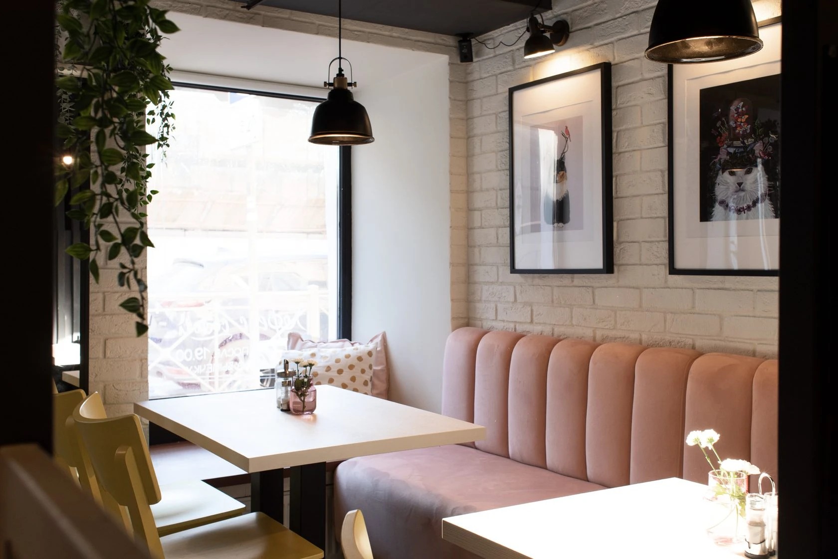 Cafe "Пирожки у Кота"