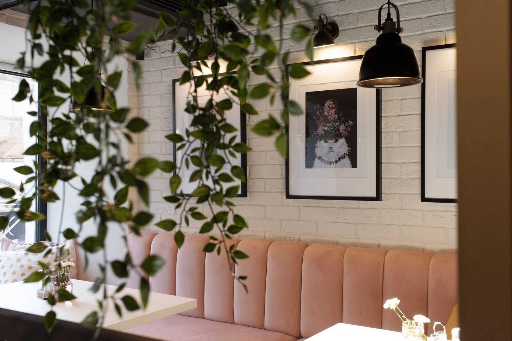 Cafe "Пирожки у Кота"