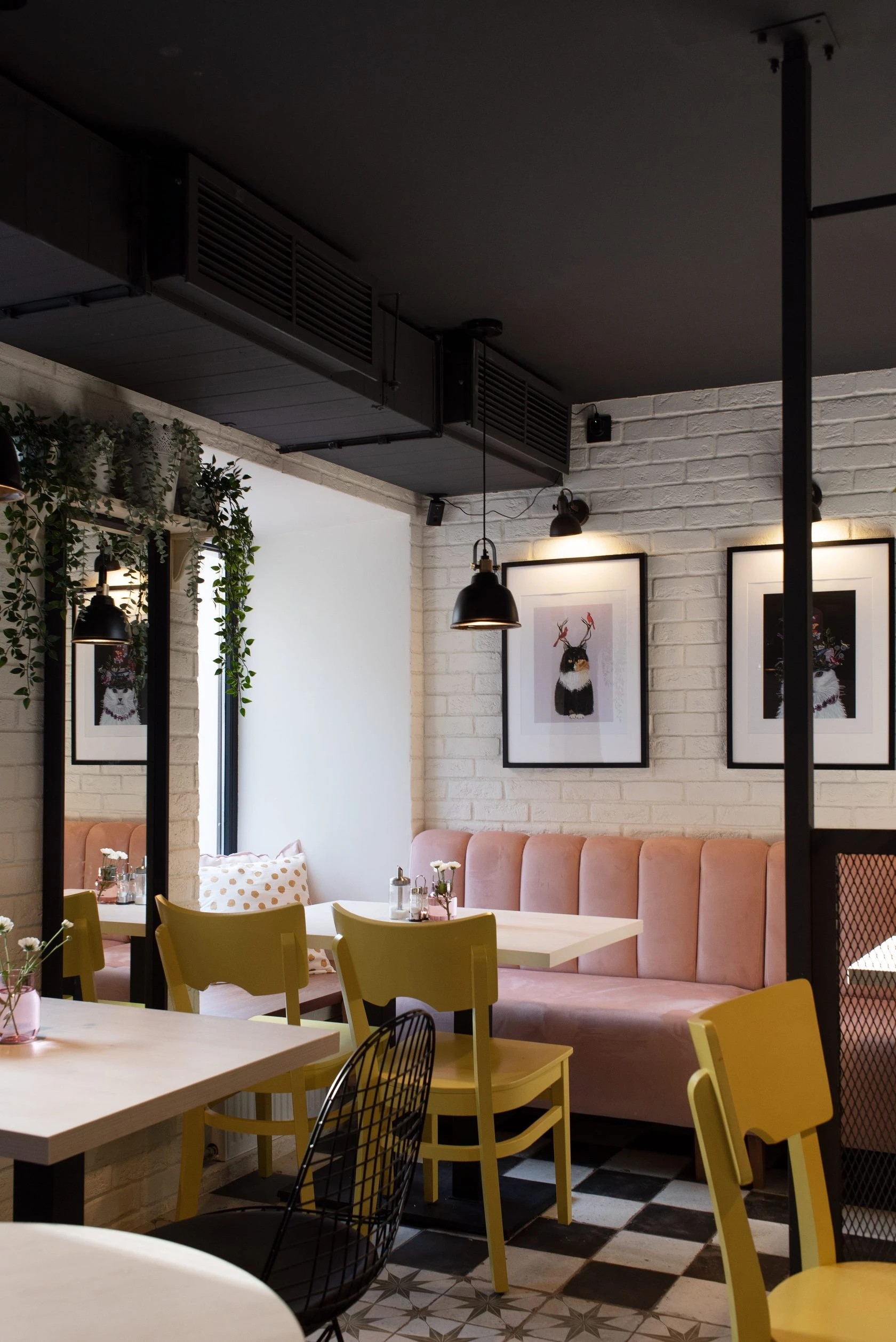 Cafe "Пирожки у Кота"