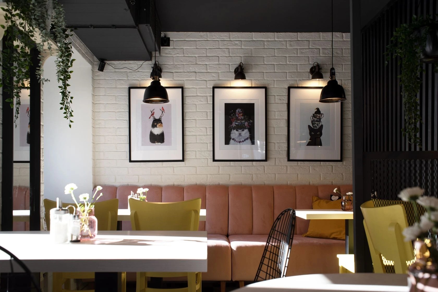 Cafe "Пирожки у Кота"