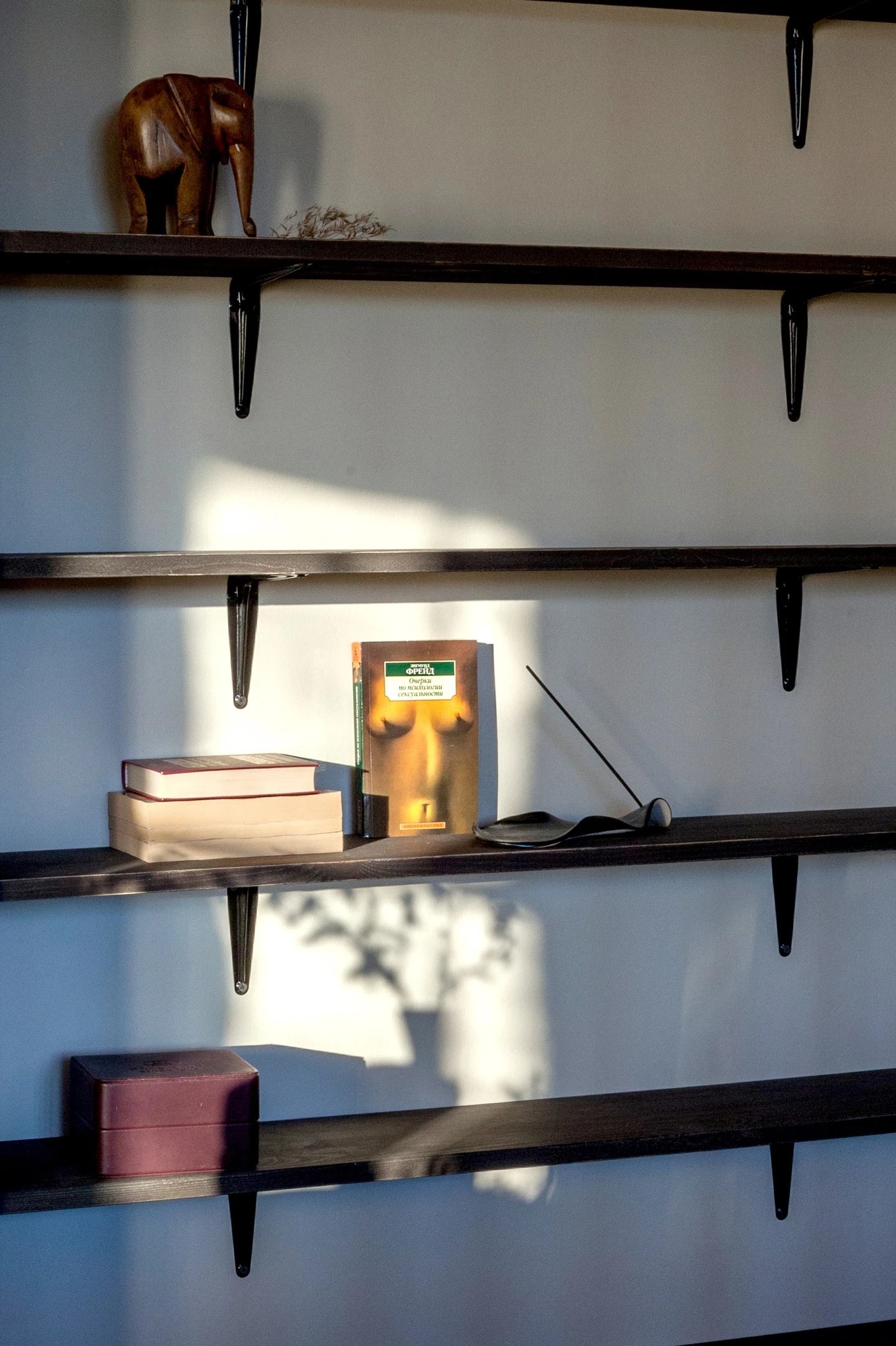 Проект "Капучино"